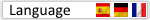 website translator plugin